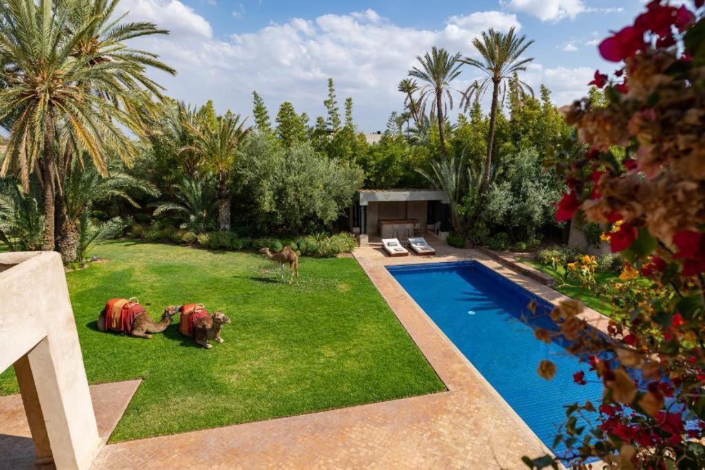 Villa Sahar Palmeraie Avec Piscine Chauffee ! Marrakesh Eksteriør bilde